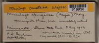 Image Associated With the Occurence